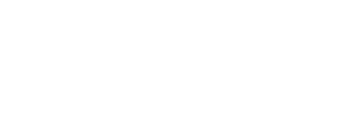 How Sim Demon accelerated brand visibility and conversions logo