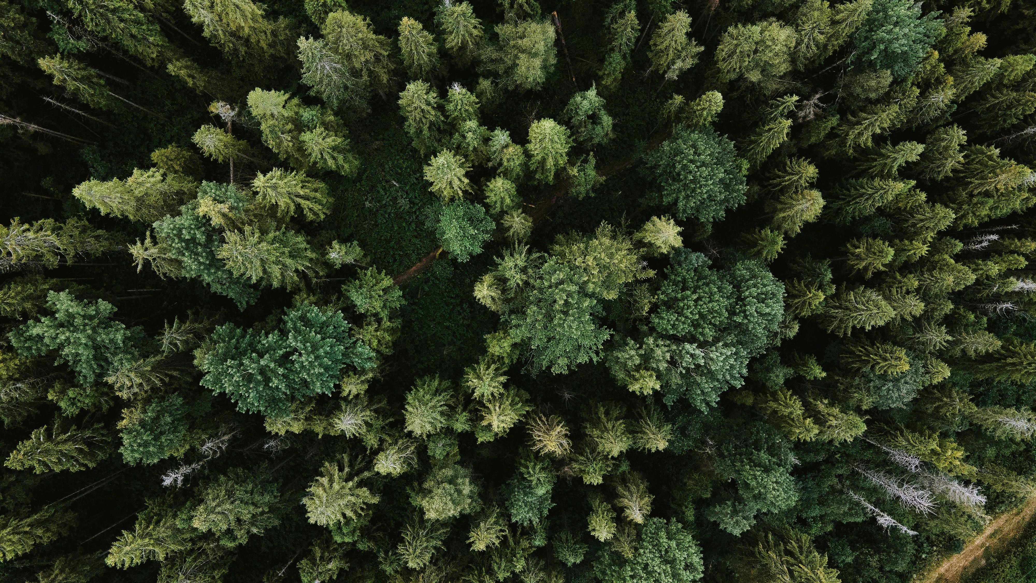 Carma: turning eCommerce into climate action