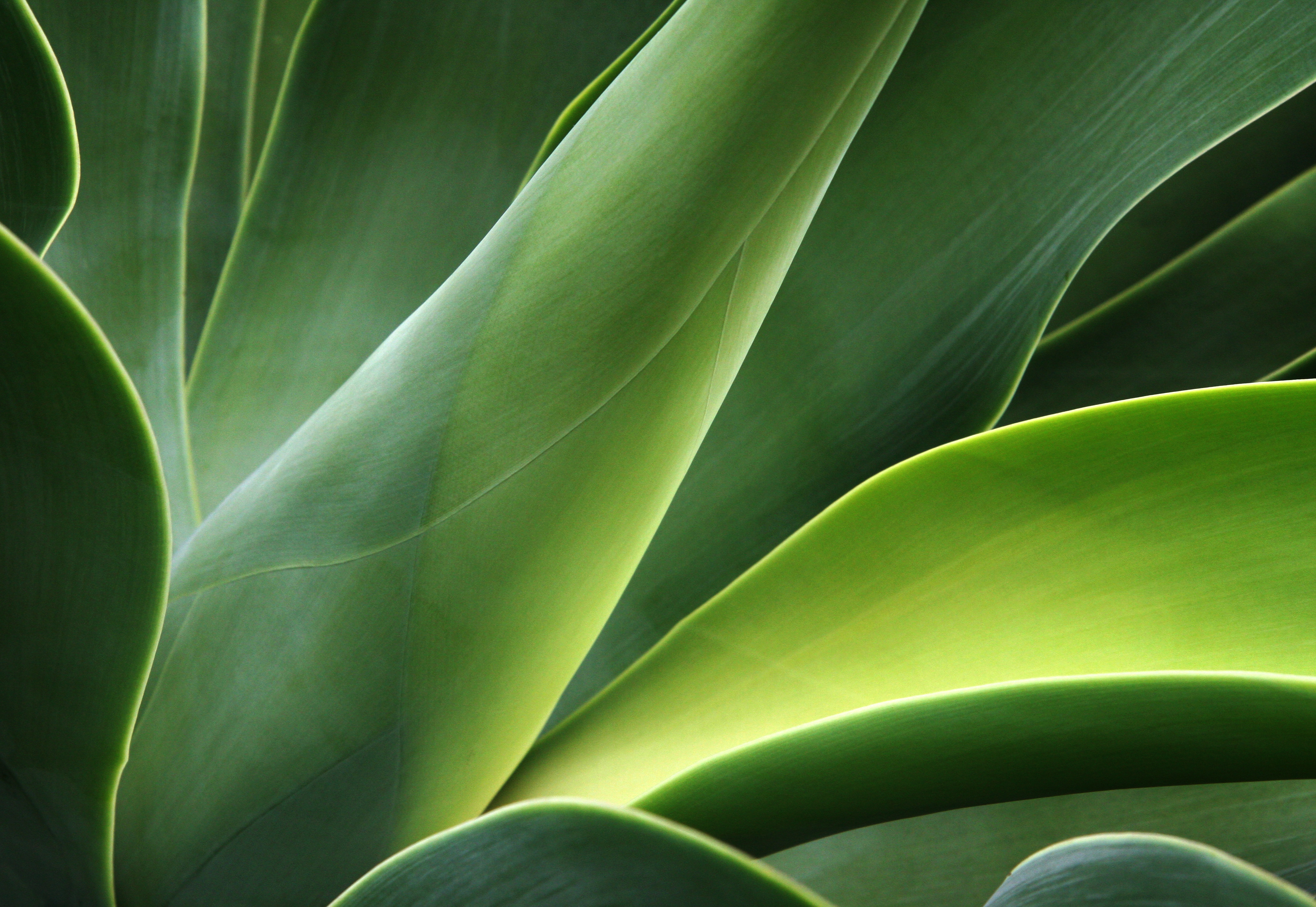 The latest commerce trends from Shopify