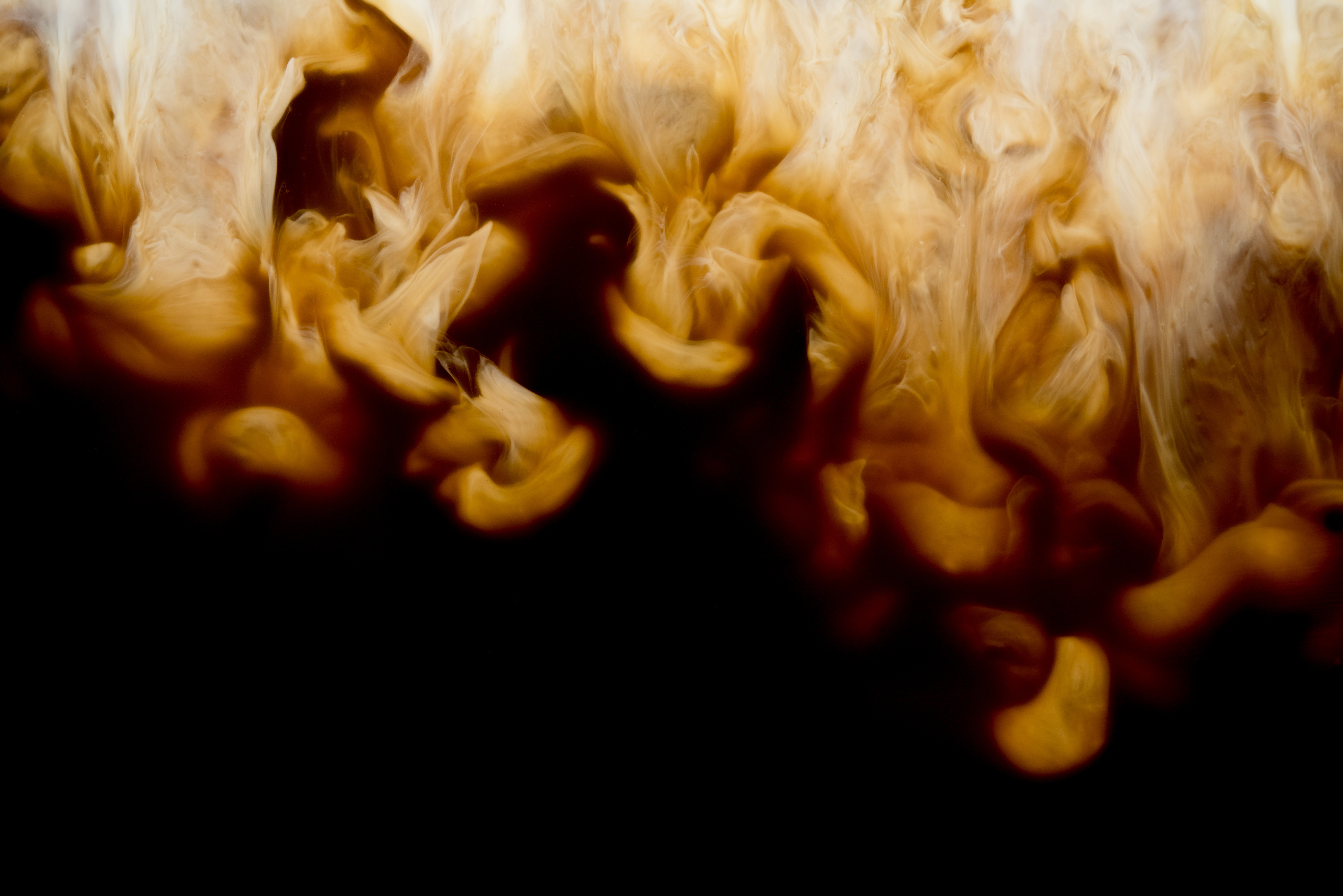 Ringtons Header