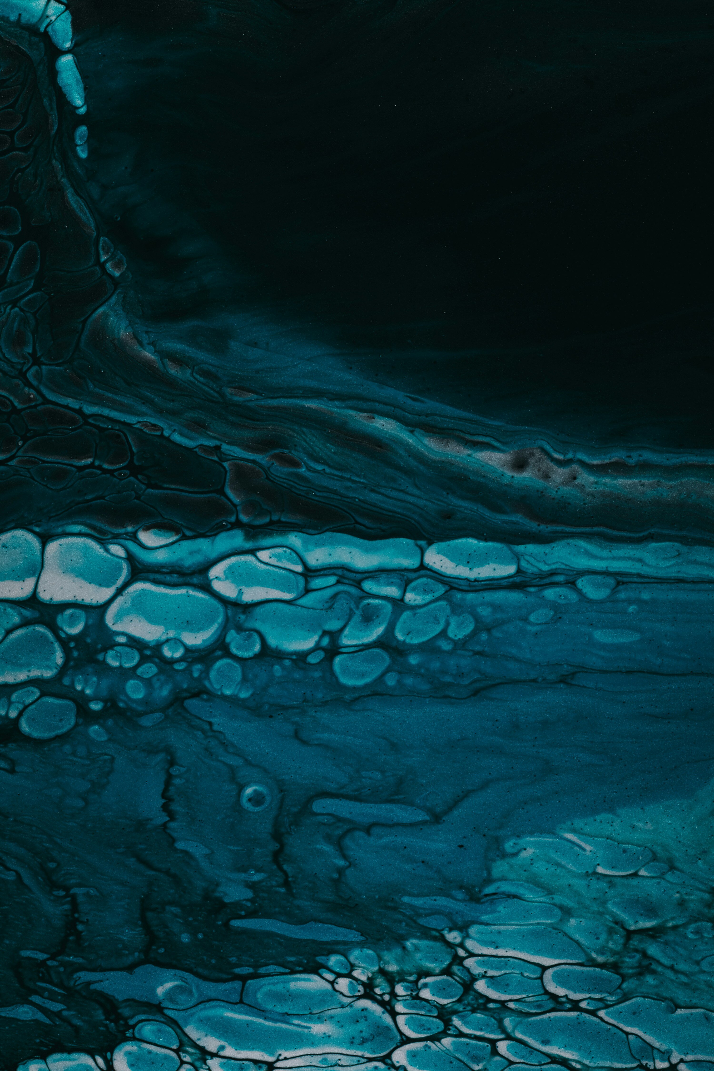 TFP Header