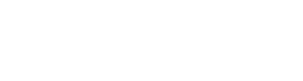 socksnob logo