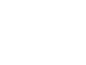sole logo